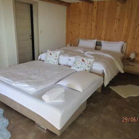 Studio 1111 With Sauna & Hot Tub Dravograd Buitenkant foto