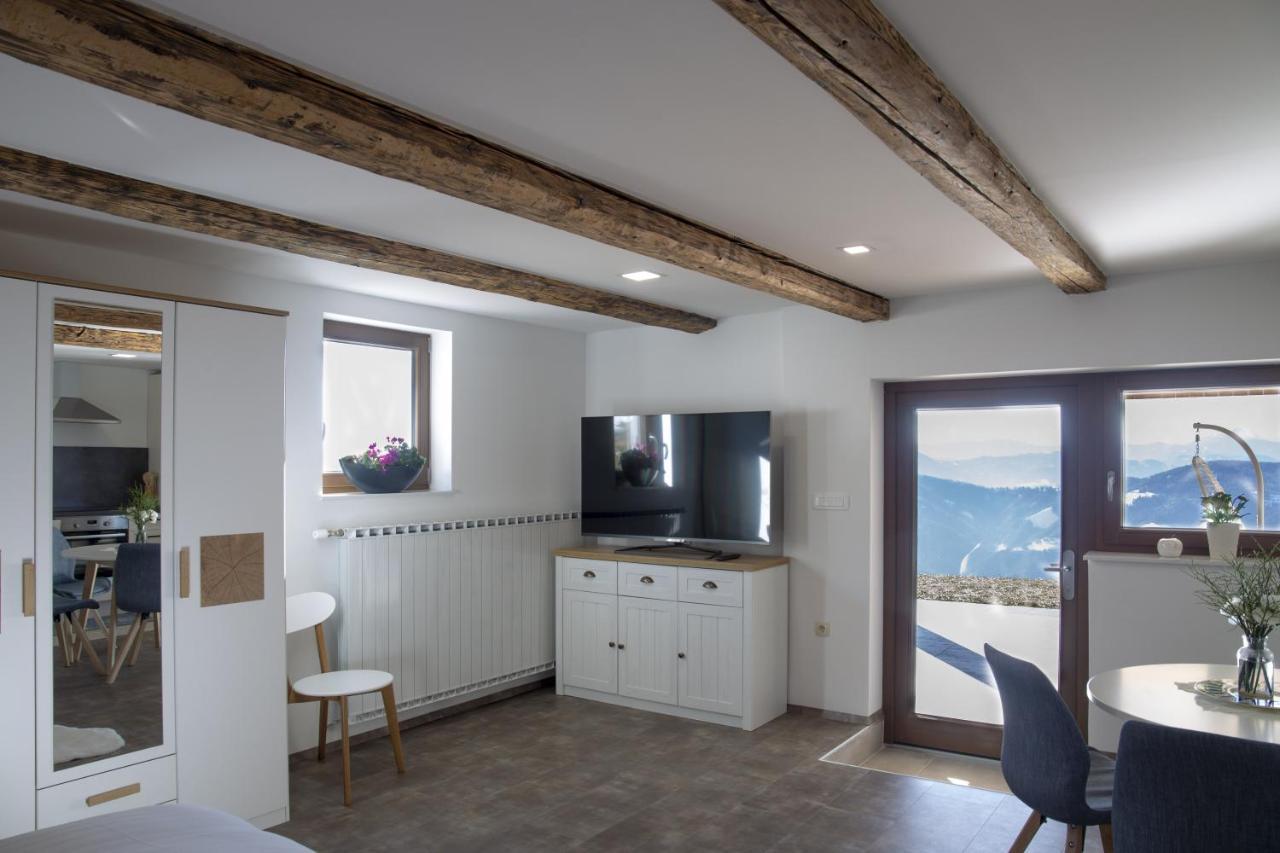 Studio 1111 With Sauna & Hot Tub Dravograd Buitenkant foto